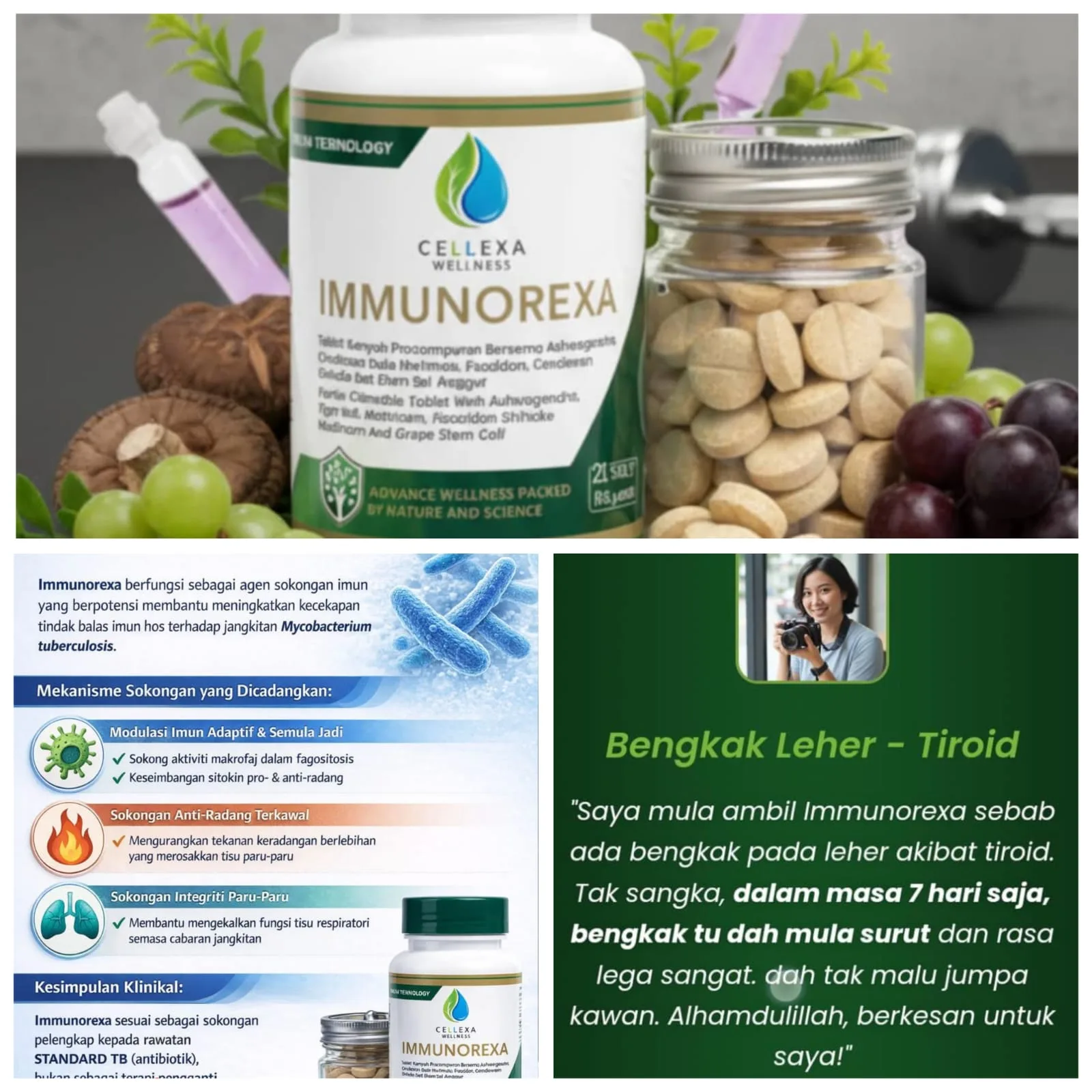 cbcpos.com|Immunorexa Produk Herbal Terbaik, Sangat Bagus Untuk Imun Tubuh, Inilah Kandungan Nya